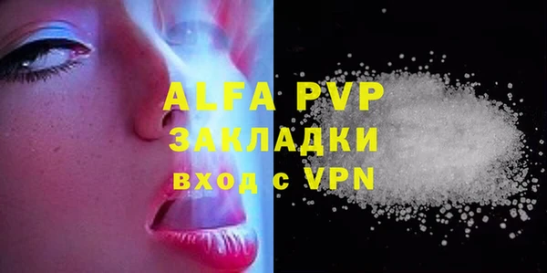 стаф Арсеньев