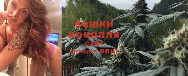 стаф Арсеньев