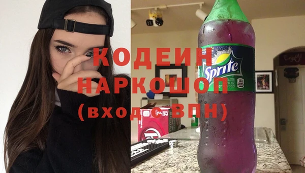 стаф Арсеньев