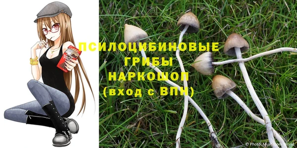 каннабис Аркадак