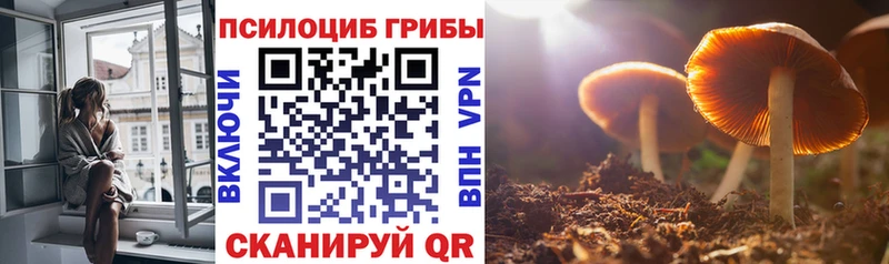 Галлюциногенные грибы GOLDEN TEACHER  закладки  Арск 