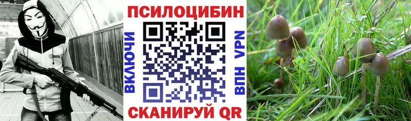 Псилоцибиновые грибы Magic Shrooms Арск